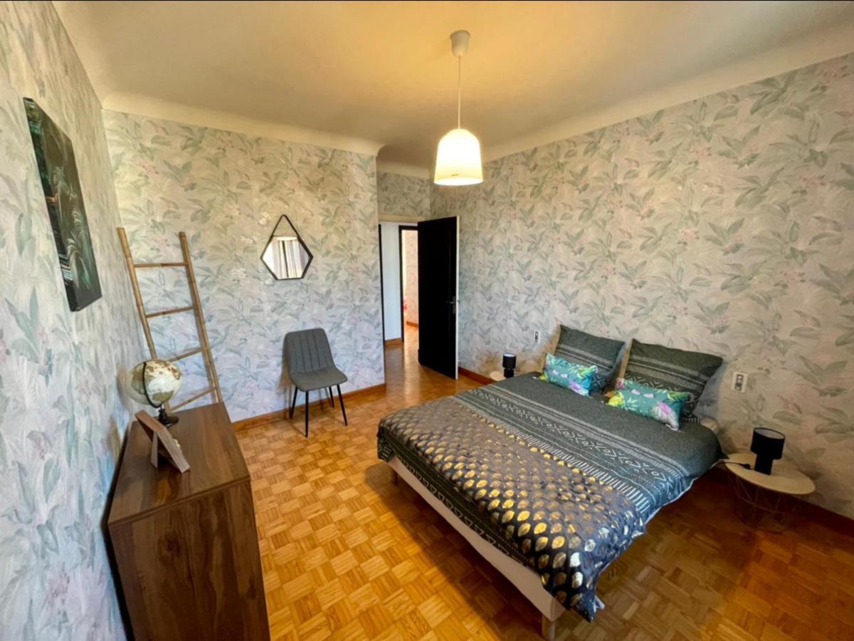 Tres Grand Appartement A 10 Min A Pied Du Centre Castres  Exterior photo